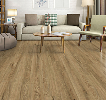 Vertigo Inspire планка