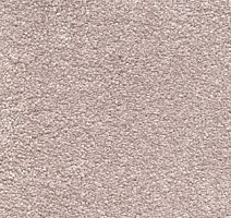 Ковролин AW Invictus Sirius 38 фото 1 | FLOORDEALER