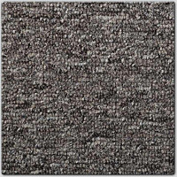 Ковровая плитка AW Medusa 40 фото 1 | FLOORDEALER