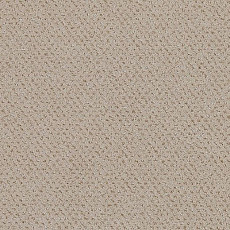 Ковролин Lano Square 452 фото 1 | FLOORDEALER