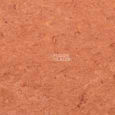 Линолеум Marmorette DLW  2mm 0019 Sunset Orange фото 1 | FLOORDEALER