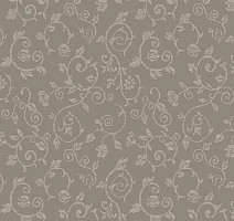 Ковролин Agnella Natural Villosa Grey фото 1 | FLOORDEALER