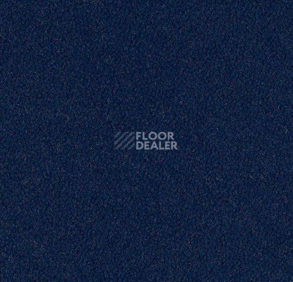 Ковровая плитка Westbond Ibond синяя гамма 9179 фото 1 | FLOORDEALER