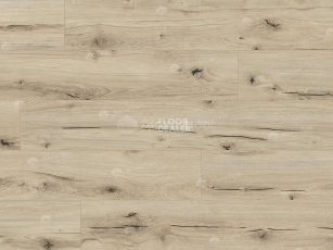 Classen Arteo 8 M 62748 Дуб Дамара фото 5 | FLOORDEALER