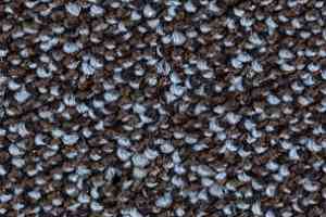 Ковролин Balsan Kaviar 785 фото  | FLOORDEALER