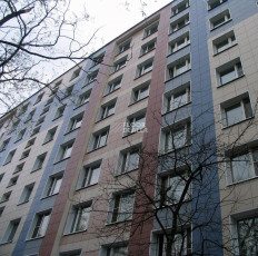 Standard Ступень 30x30x8 Ступень st 01-30x30-Непол. фото 3 | FLOORDEALER