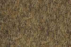 Ковролин Finet Vision Color 800123 фото  | FLOORDEALER