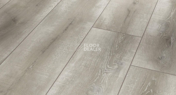 Ламинат Parador Trendtime 6 1601101 Дуб Винтажный Серый фото 1 | FLOORDEALER