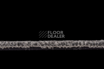 IVC Animate 969 фото 4 | FLOORDEALER
