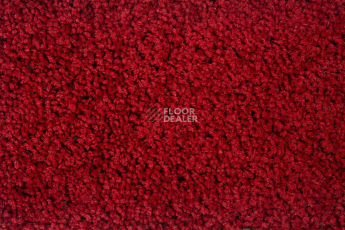 Haima Stepway n 5023 фото 2 | FLOORDEALER