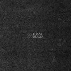 Ковролин AW Masquerade Fedone 98 фото 1 | FLOORDEALER