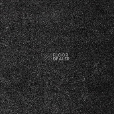 Ковролин AW Masquerade Fedone 98 фото 1 | FLOORDEALER