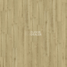 Kronotex Robusto 12мм d40792 (D4686) Дуб Тахо фото 4 | FLOORDEALER