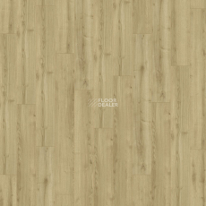 Kronotex Robusto 12мм d40792 (D4686) Дуб Тахо фото 4 | FLOORDEALER