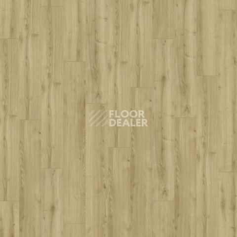 Kronotex Robusto 12мм d40792 (D4686) Дуб Тахо фото 4 | FLOORDEALER