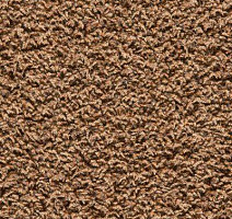 Ковролин Ideal Xanadu 338 фото 1 | FLOORDEALER