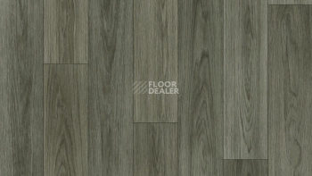 Линолеум Tarkett Force Norman 2 фото 1 | FLOORDEALER