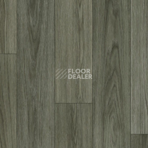 Линолеум Tarkett Force Norman 2 фото 1 | FLOORDEALER