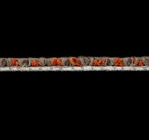 Sandunes 300506 + Rust фото 3 | FLOORDEALER