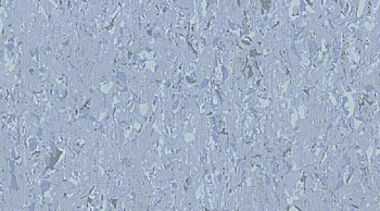 Кварцвиниловые полы Mipolam Cosmo 2606_Azur фото 1 | FLOORDEALER