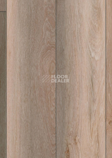 Kronotex Robusto 12мм d80992 Дуб Гнарренбург Титан фото 5 | FLOORDEALER