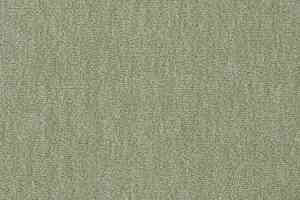 Ковролин Vorwerk Passion 1002 Vorwerk 4e08 фото  | FLOORDEALER