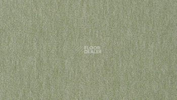 Ковролин Vorwerk Passion 1002 Vorwerk 4e08 фото 1 | FLOORDEALER