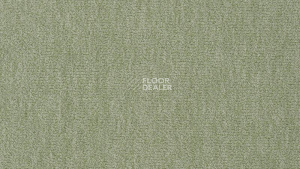 Ковролин Vorwerk Passion 1002 Vorwerk 4e08 фото 1 | FLOORDEALER