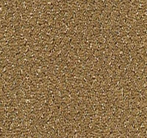 Ковролин Desso Champion 2032 фото 1 | FLOORDEALER