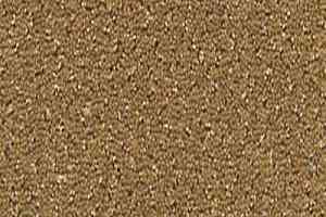 Ковролин Desso Champion 2032 фото  | FLOORDEALER