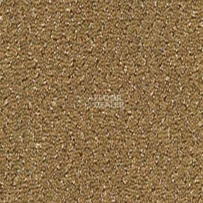 Ковролин Desso Champion 2032 фото 1 | FLOORDEALER