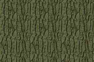 Ковролин Flotex Tibor Arbor 980603 Arbor Moss фото  | FLOORDEALER