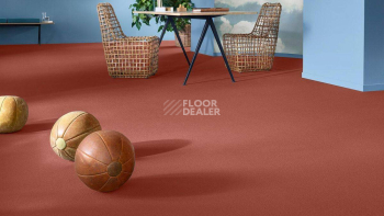 Vorwerk Superior 1049 Vorwerk Samos фото 2 | FLOORDEALER