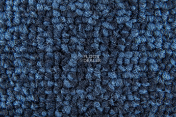 Standard Carpets Spectrum sm 557 фото 3 | FLOORDEALER