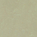 Линолеум Forbo Marmoleum Неожиданная природа 3567  | FLOORDEALER