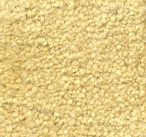 Ковролин Emphatic Beaulieu of America 56148 фото 1 | FLOORDEALER