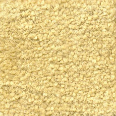 Ковролин Emphatic Beaulieu of America 56148 фото 1 | FLOORDEALER