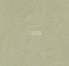 Линолеум Forbo Marmoleum Неожиданная природа 3567 фото 1 | FLOORDEALER