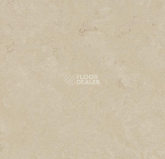 Линолеум Forbo Marmoleum Decibel 371135 фото 1 | FLOORDEALER