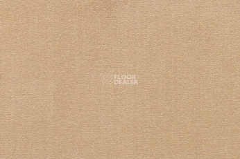 Ковролин ITC Roxane 238 фото 1 | FLOORDEALER