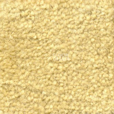 Ковролин Emphatic Beaulieu of America 56148 фото 1 | FLOORDEALER