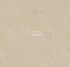 Линолеум Forbo Marmoleum Decibel 371135 фото 1 | FLOORDEALER