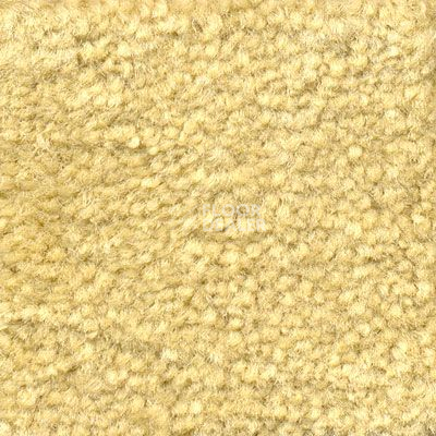 Ковролин Emphatic Beaulieu of America 56148 фото 1 | FLOORDEALER