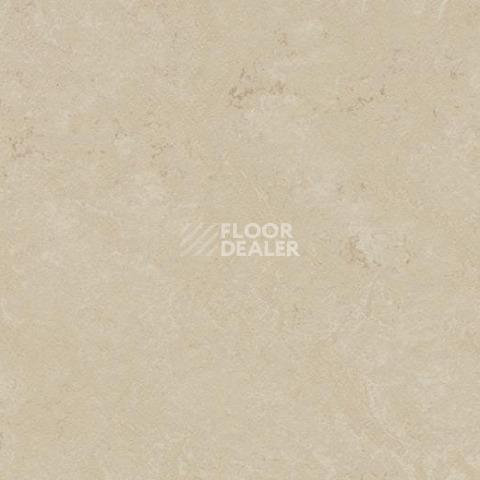 Линолеум Forbo Marmoleum Decibel 371135 фото 1 | FLOORDEALER