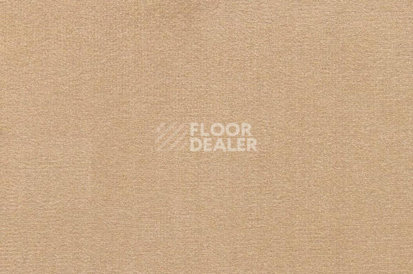 Ковролин ITC Roxane 238 фото 1 | FLOORDEALER