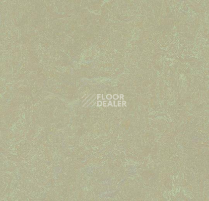 Линолеум Forbo Marmoleum Неожиданная природа 3567 фото 1 | FLOORDEALER