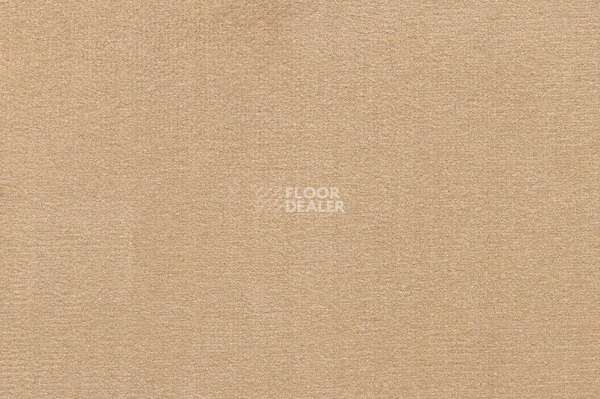 Ковролин ITC Roxane 238 фото 1 | FLOORDEALER