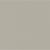 Линолеум Apoluza SportFloor PVC Dance 2.0 02 фото 1 | FLOORDEALER