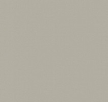 Линолеум Apoluza SportFloor PVC Dance 2.0 02 фото 1 | FLOORDEALER