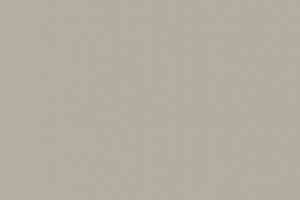 Линолеум Apoluza SportFloor PVC Dance 2.0 02 фото  | FLOORDEALER